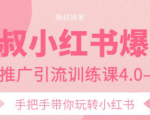 狼叔小红书爆款推广引流训练课4.0，手把手带你玩转小红书-ANQUYE-HENHENLU-26UUU[首页]
