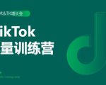 2020最新TikTok流量增长训练营（完结）附PPT-ANQUYE-HENHENLU-26UUU[首页]