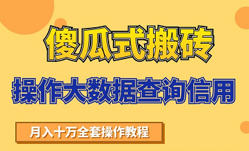 搬砖操作大数据查询信用项目赚钱教程，祝你快速月入6万-ANQUYE-HENHENLU-26UUU[首页]