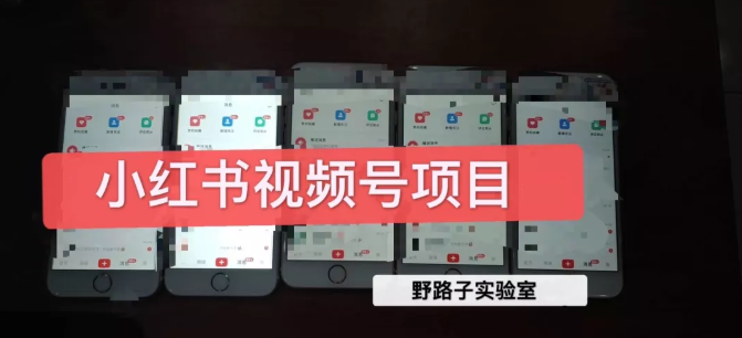 野路子小红书视频号1.0项目，直接上手操作就能赚钱的视频号项目-ANQUYE-HENHENLU-26UUU[首页]