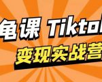 龟课·TikTok变现实战训练营线上第1期，多种变现模式，轻松赚美刀-ANQUYE-HENHENLU-26UUU[首页]