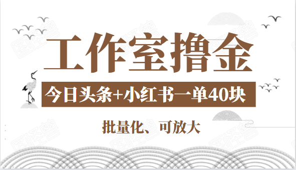 工作室撸金二件套：撸今日头条原创收益+小红书一单利润40块项目-ANQUYE-HENHENLU-26UUU[首页]
