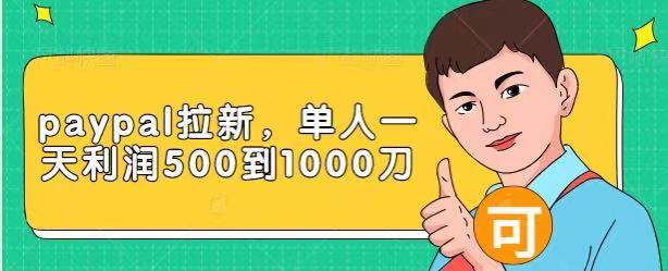 Paypal拉新赚美刀项目，单人一天利润500-1000刀【视频课程】-ANQUYE-HENHENLU-26UUU[首页]
