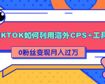 详细解析TIKTOK如何利用海外CPS+工具0粉丝轻松变现月入过万-ANQUYE-HENHENLU-26UUU[首页]