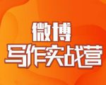 村西边老王·微博超级写作实战营，帮助你粉丝猛涨价值999元-ANQUYE-HENHENLU-26UUU[首页]