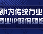 从0到1为传统行业打造抖音商业IP简单高效的保姆级攻略-ANQUYE-HENHENLU-26UUU[首页]