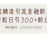 1套精准引流金融粉方法，轻松日引300+粉丝-ANQUYE-HENHENLU-26UUU[首页]
