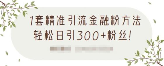 1套精准引流金融粉方法，轻松日引300+粉丝-ANQUYE-HENHENLU-26UUU[首页]