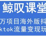 鲸叹号·海外TIKTOK训练营，百万项目海外版抖音tiktok流量变现玩法-ANQUYE-HENHENLU-26UUU[首页]