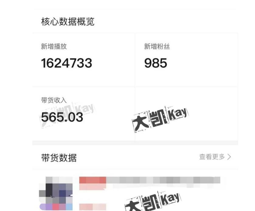 大凯进阶圈新玩法之拼多多视频玩法，利润大概一个号一天能有500~1500的左右!-ANQUYE-HENHENLU-26UUU[首页]