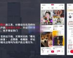 麦子互娱短视频带货·0基础做好物分享账号，无需出镜无需货源无需拍摄-ANQUYE-HENHENLU-26UUU[首页]
