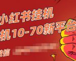 视频号小红书抖音挂机项目，小白无脑操作，按照要求来，单号每天几十米-ANQUYE-HENHENLU-26UUU[首页]