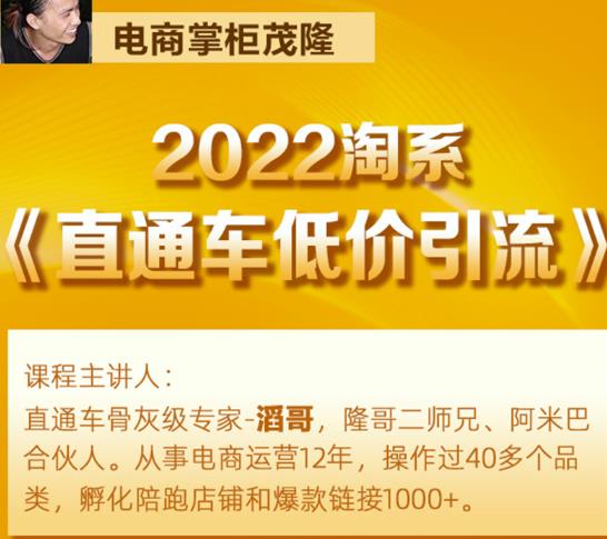 茂隆2022直通车低价引流玩法，教大家如何低投入高回报的直通车玩法-ANQUYE-HENHENLU-26UUU[首页]