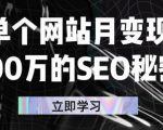 单个网站月变现100万的SEO秘密，百分百做出赚钱站点-ANQUYE-HENHENLU-26UUU[首页]