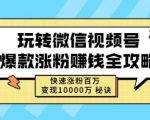 玩转微信视频号爆款涨粉赚钱全攻略，快速涨粉百万变现万元秘诀-ANQUYE-HENHENLU-26UUU[首页]