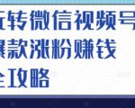 玩转微信视频号爆款涨粉赚钱全攻略，让你快速抓住流量风口，收获红利财富-ANQUYE-HENHENLU-26UUU[首页]