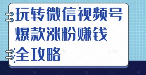 玩转微信视频号爆款涨粉赚钱全攻略，让你快速抓住流量风口，收获红利财富-ANQUYE-HENHENLU-26UUU[首页]