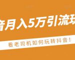 老古董·抖音月入5万引流玩法，看看老司机如何玩转抖音(附赠：抖音另类引流思路)-ANQUYE-HENHENLU-26UUU[首页]