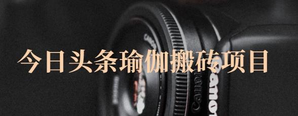 猎人社区·今日头条瑜伽搬砖项目，单号一天几十收入，可以批量操作！-ANQUYE-HENHENLU-26UUU[首页]