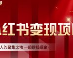 渣圈学苑·小红书虚拟资源变现项目，一起捞钱掘金价值1099元-ANQUYE-HENHENLU-26UUU[首页]
