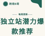【跨境B哥】独立站潜力爆款选品推荐，测款出单率高达百分之80-ANQUYE-HENHENLU-26UUU[首页]