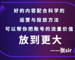 张sir账号流量增长课，告别海王流量，让你的流量更精准-ANQUYE-HENHENLU-26UUU[首页]