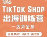 疯人院:TikTok Shop出海训练营（一店卖全球)，出海抢占全球新流量-ANQUYE-HENHENLU-26UUU[首页]