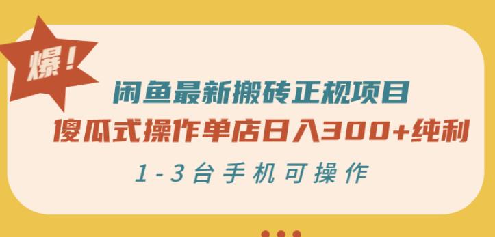 闲鱼最新搬砖正规项目：傻瓜式操作单店日入300+纯利，1-3台手机可操作-ANQUYE-HENHENLU-26UUU[首页]