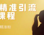 soul精准引流系列课程，每天引流100精准粉-ANQUYE-HENHENLU-26UUU[首页]