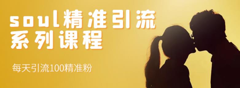 soul精准引流系列课程，每天引流100精准粉-ANQUYE-HENHENLU-26UUU[首页]