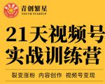 张萌21天视频号实战训练营，裂变涨粉、内容创作、视频号变现 价值298元-ANQUYE-HENHENLU-26UUU[首页]