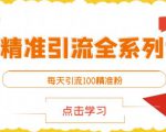 闲鱼精准引流全系列课程，每天引流100精准粉【视频课程】-ANQUYE-HENHENLU-26UUU[首页]