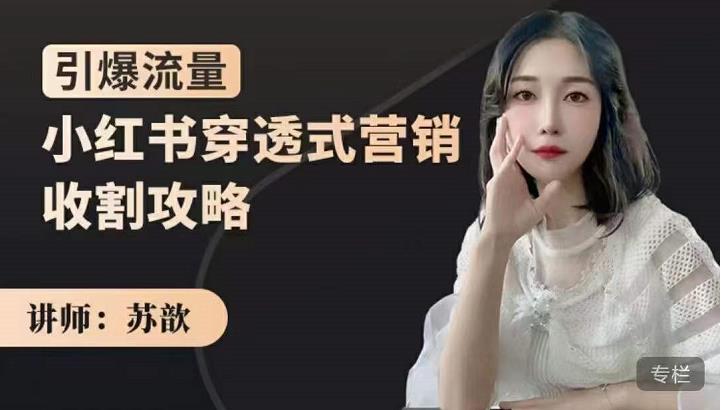 苏歆：小红书穿透式营销收割攻略，引爆流量，助你玩转小红书-ANQUYE-HENHENLU-26UUU[首页]