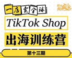 TikTokShop出海训练营（第十三期），打开全球流量新思维，出海抢占全球新流量，一店卖全球-ANQUYE-HENHENLU-26UUU[首页]