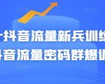 Peter抖音流量新兵训练营-破解抖音流量密码群爆训练营（新兵）-ANQUYE-HENHENLU-26UUU[首页]