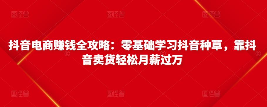 抖音电商赚钱全攻略：零基础学习抖音种草，靠抖音卖货轻松月薪过万-ANQUYE-HENHENLU-26UUU[首页]