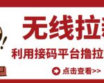 最新接码无限拉新项目，利用接码平台赚拉新平台差价，轻松日赚500+-ANQUYE-HENHENLU-26UUU[首页]