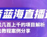 抖音最新蓝海直播玩法，3分钟赚30元，一天轻松1000+，只要你去直播就行【详细玩法教程】-ANQUYE-HENHENLU-26UUU[首页]
