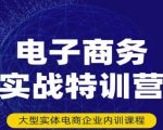 民赛电气内部出品：电子商务实战特训营，全方位带你入门电商，308种方式玩转电商-ANQUYE-HENHENLU-26UUU[首页]