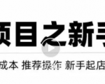 虚拟项目快速起店模式，0成本打造月入几万虚拟店铺！-ANQUYE-HENHENLU-26UUU[首页]
