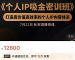 个人IP吸金密训班，打造高价值高效率的个人IP内容体系（价值12800元）-ANQUYE-HENHENLU-26UUU[首页]