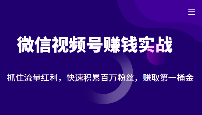 微信视频号赚钱实战：抓住流量红利，快速积累百万粉丝，赚取你的第一桶金-ANQUYE-HENHENLU-26UUU[首页]