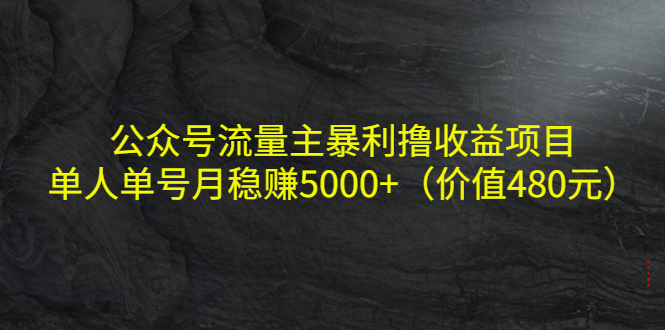 公众号流量主暴利撸收益项目，单人单号月稳赚5000+（价值480元）-ANQUYE-HENHENLU-26UUU[首页]