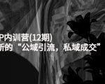 新媒体IP内训营(12期)，一套全新的“公域引流，私域成交”IP打法，直接带走-ANQUYE-HENHENLU-26UUU[首页]