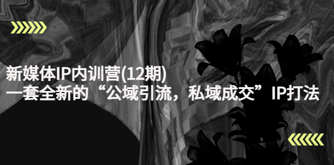 新媒体IP内训营(12期)，一套全新的“公域引流，私域成交”IP打法，直接带走-ANQUYE-HENHENLU-26UUU[首页]