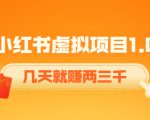 《小红书虚拟项目1.0》账号注册+养号+视频制作+引流+变现，几天就赚两三千-ANQUYE-HENHENLU-26UUU[首页]