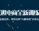 兴趣电商全新训练营：打破品销边界，带你玩转“兴趣电商“实现业务增长-ANQUYE-HENHENLU-26UUU[首页]