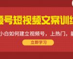 视频号短视频文案训练营：0基础小白如何建立视频号，上热门，能卖货！-ANQUYE-HENHENLU-26UUU[首页]