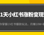 21天小红书涨粉变现营（第4期）：带你掌握小红书爆款玩法，月赚10W+秘密-ANQUYE-HENHENLU-26UUU[首页]