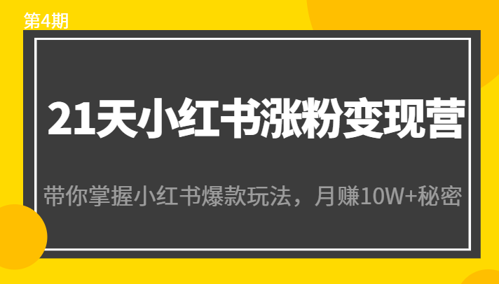 21天小红书涨粉变现营（第4期）：带你掌握小红书爆款玩法，月赚10W+秘密-ANQUYE-HENHENLU-26UUU[首页]